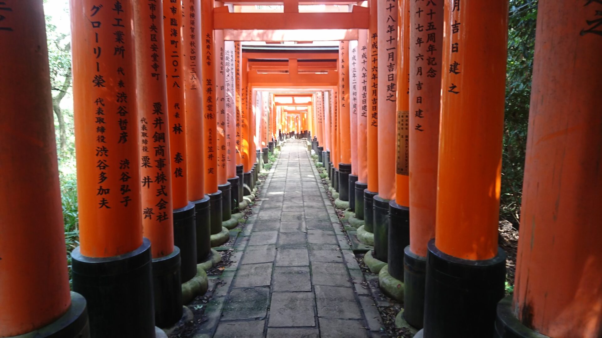 京都一周トレイル