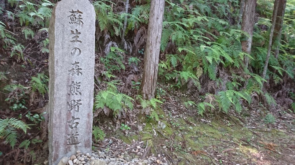 蘇生の森熊野古道