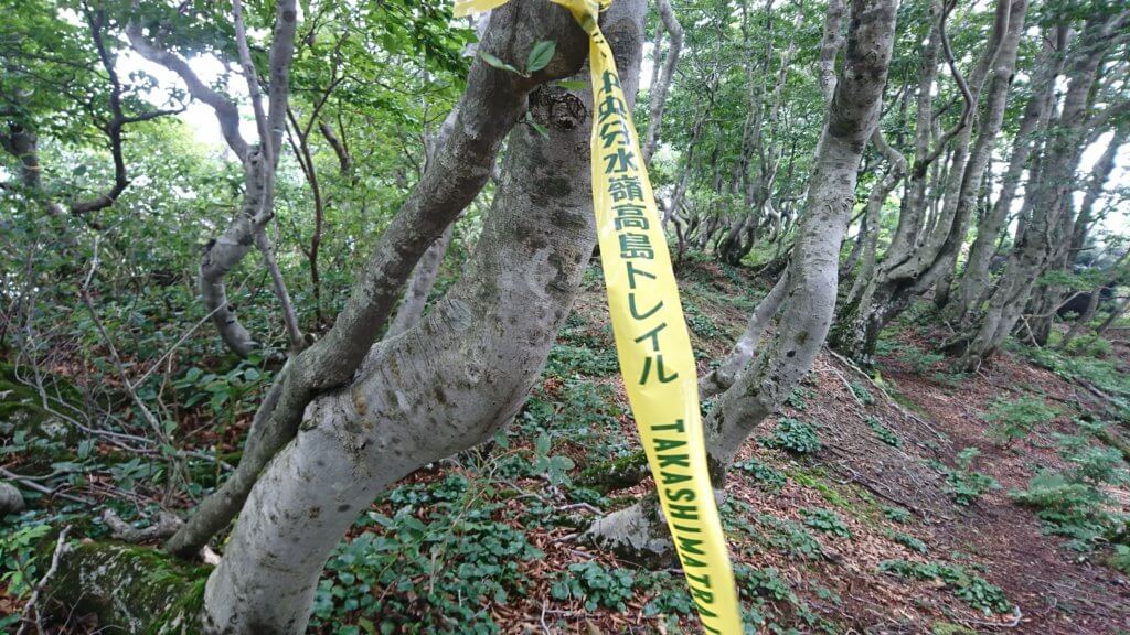 高島トレイルの黄色テープ