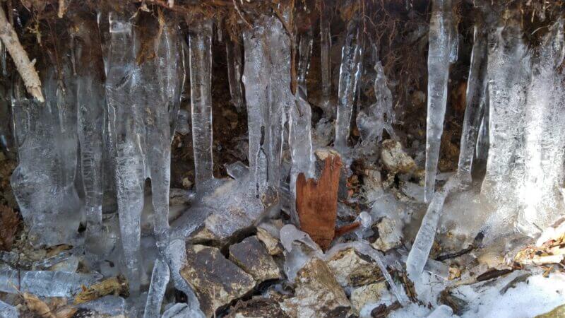 凍った氷柱
