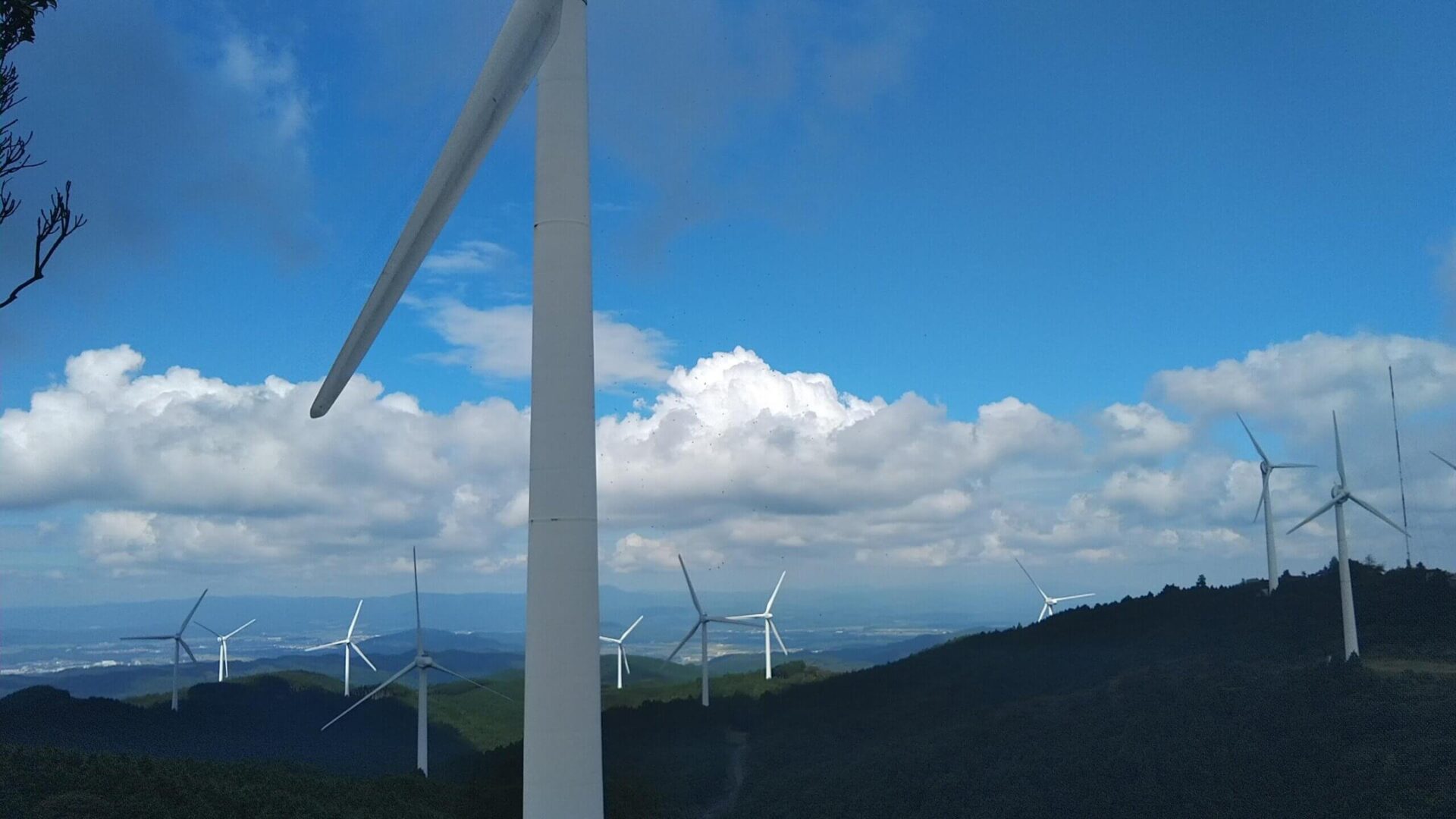青山高原の風力発電