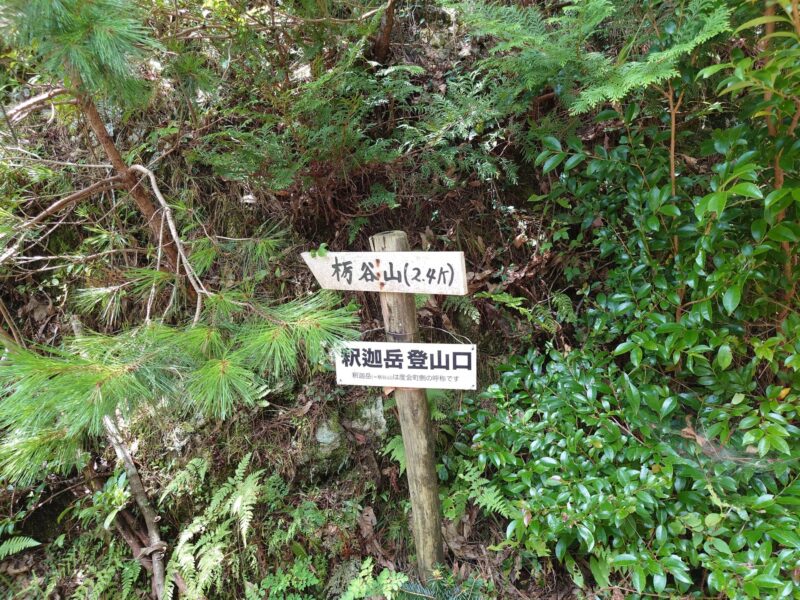 藤越登山口