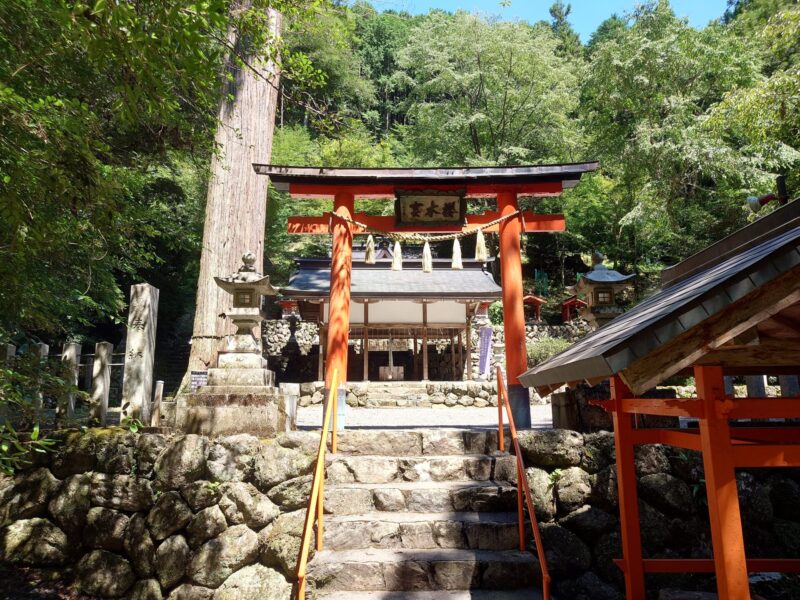 櫻木神社