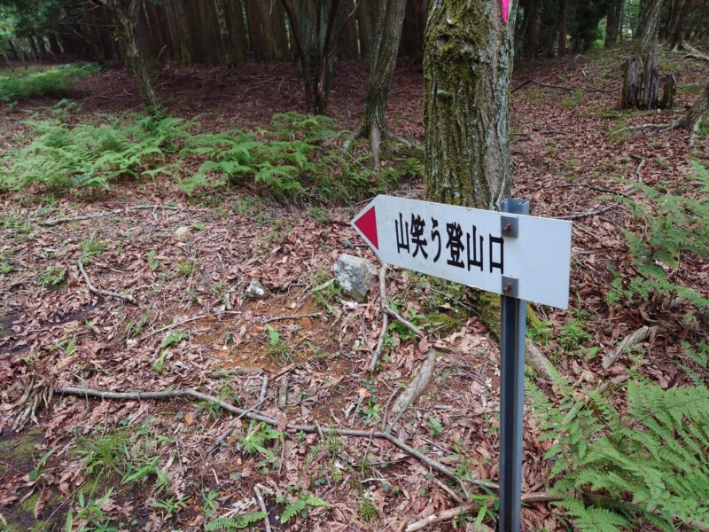 暁晴山登山口