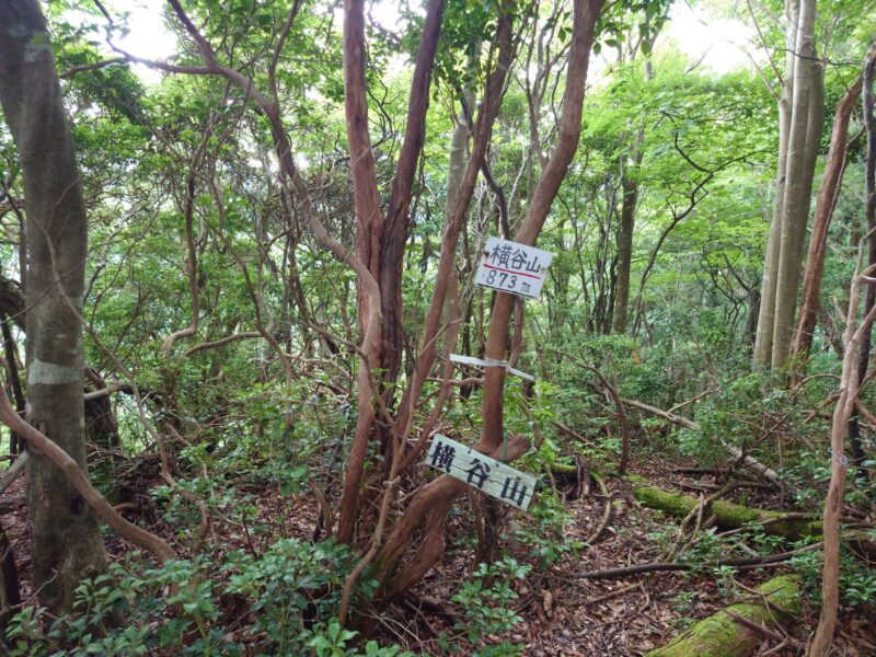 横谷山