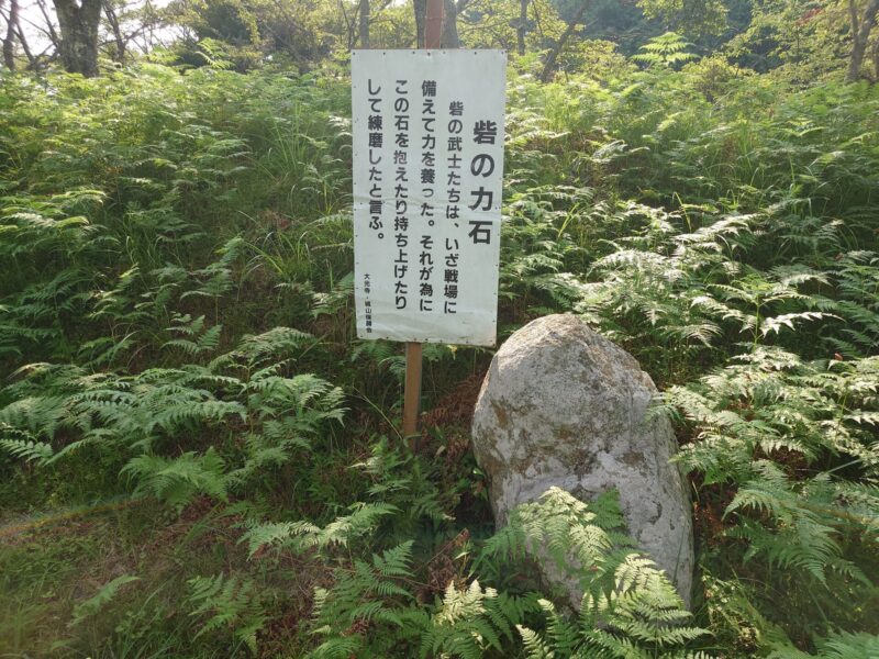 小川城山