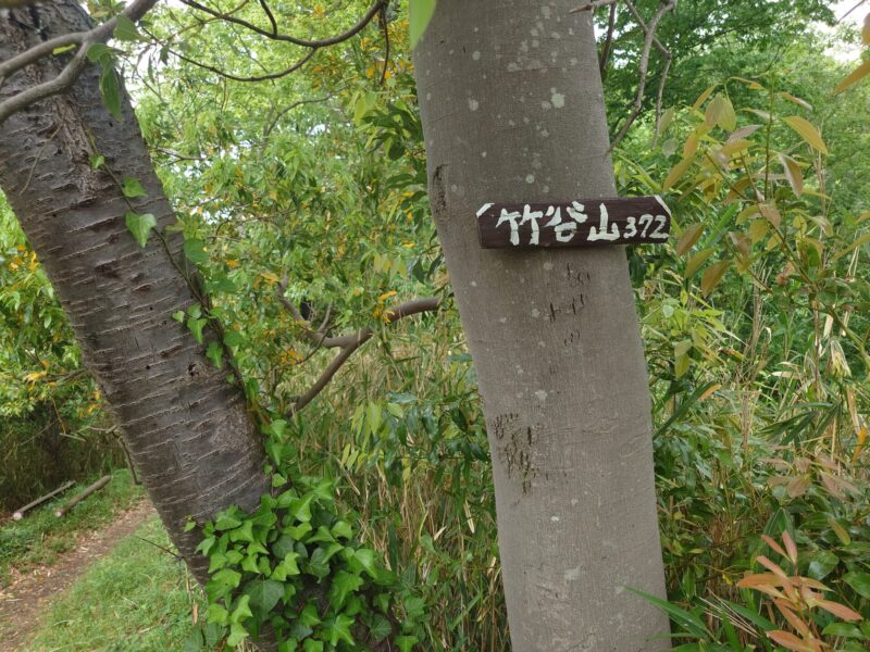 竹谷山
