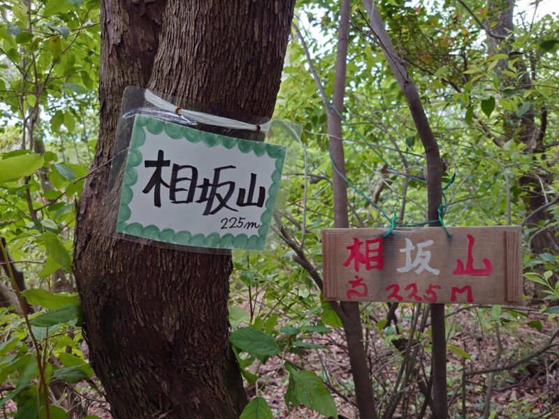相坂山