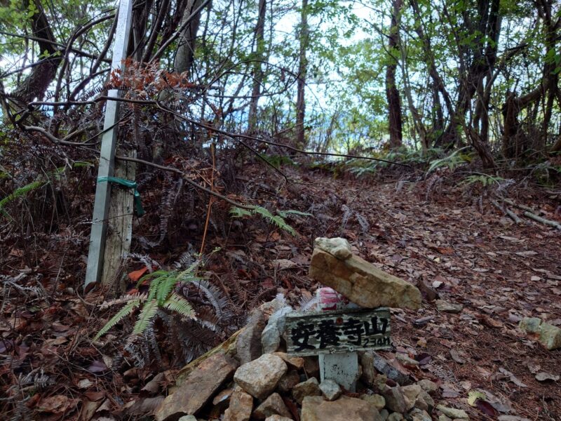 安養寺山