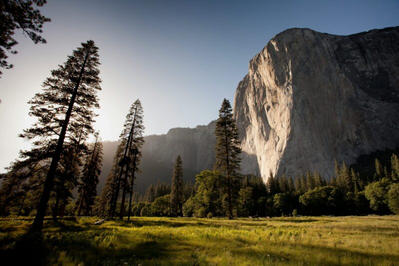 山