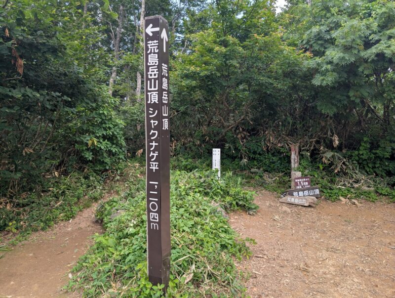 シャクナゲ平