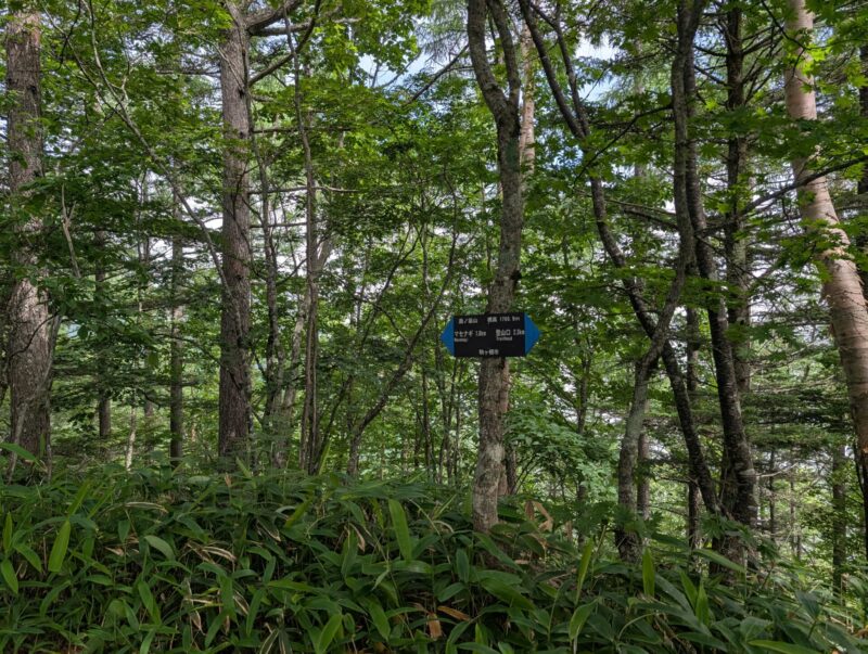 簫ノ笛山