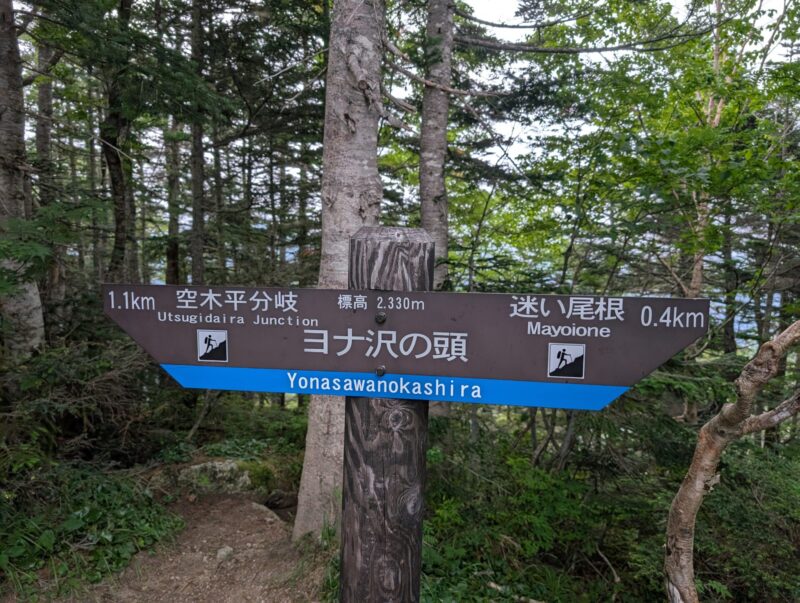ヨナ沢の頭