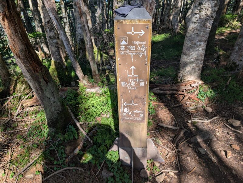 易老岳