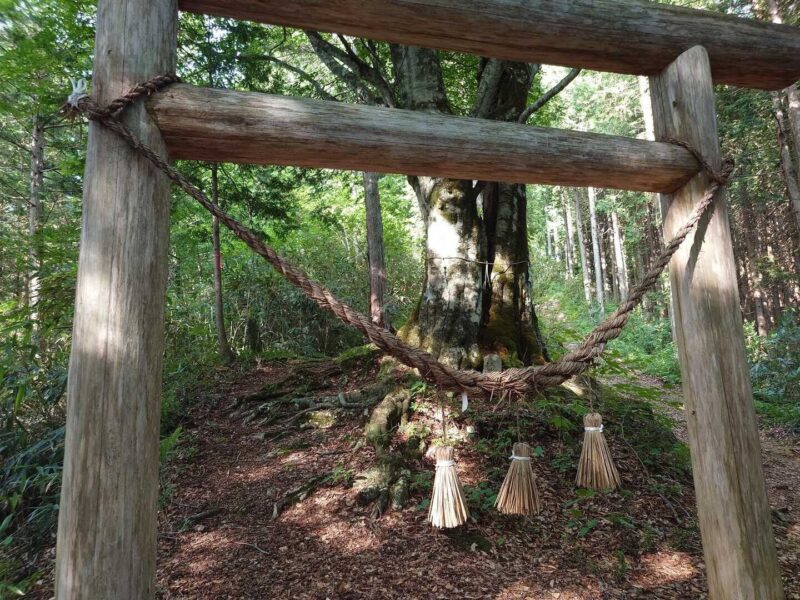 十二ヶ岳