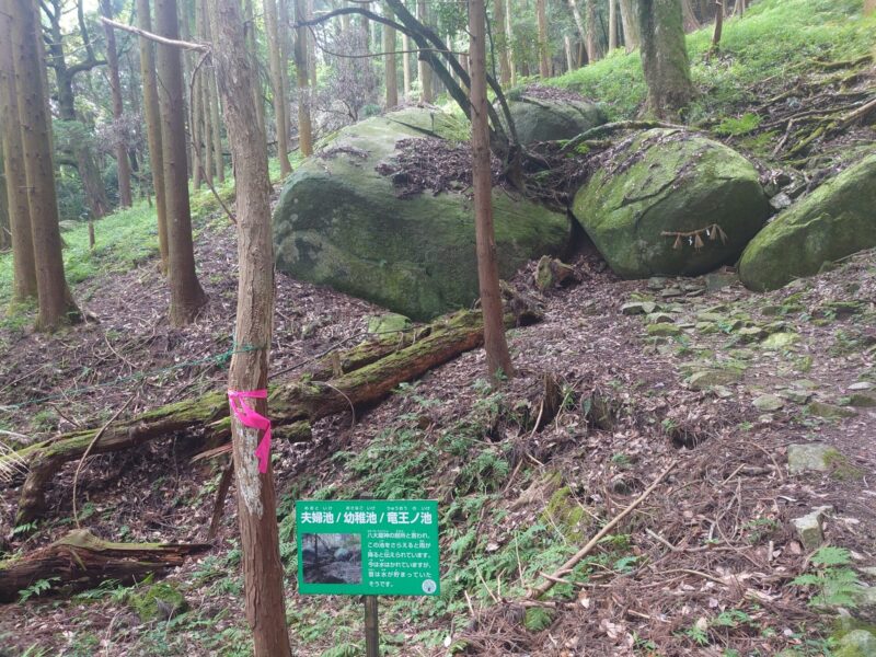 竜王の池