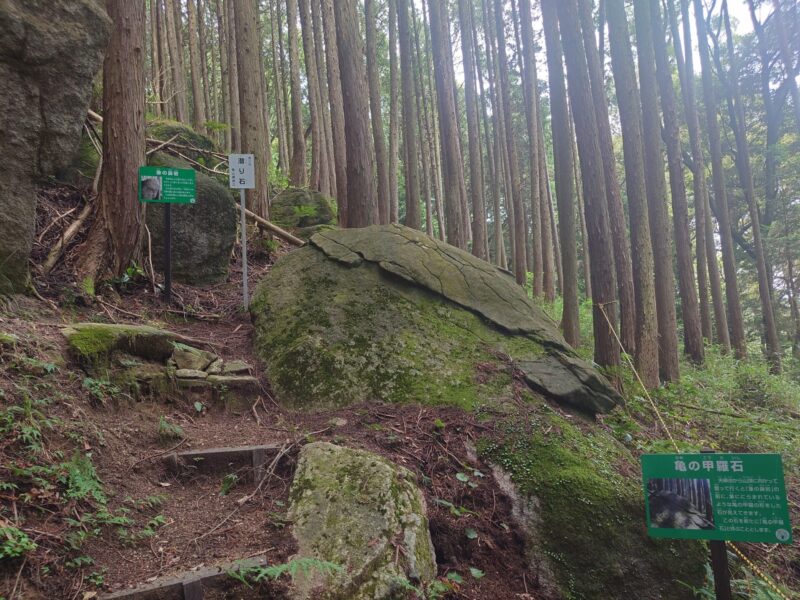 亀の甲羅石