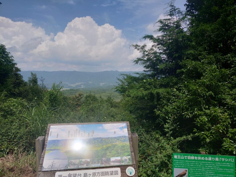 竜王山