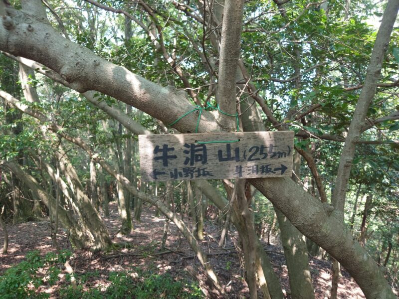 三角点