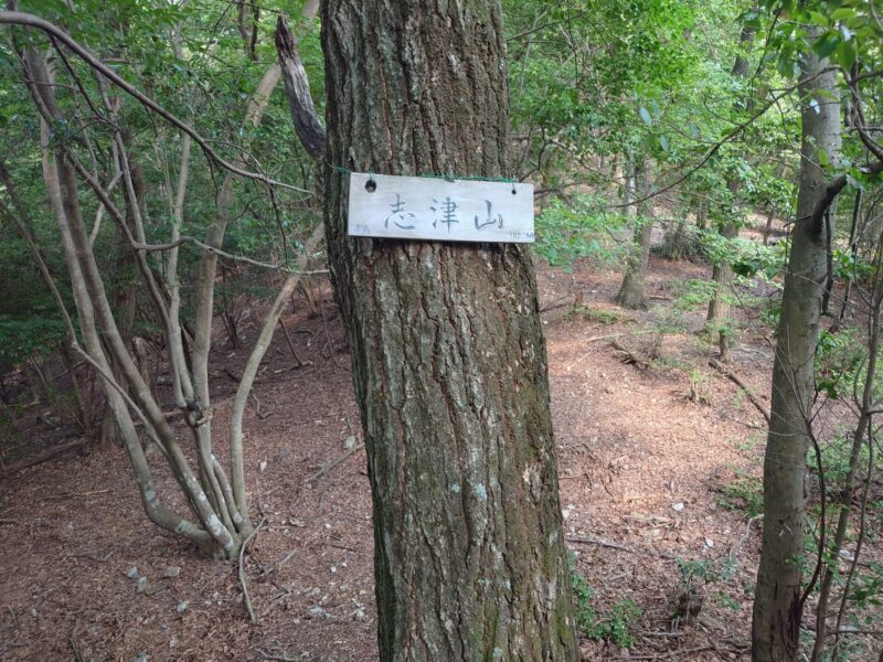 志津山