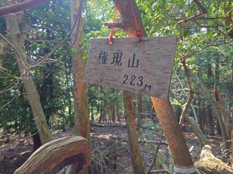 権現山