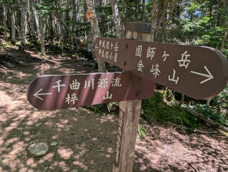 分岐