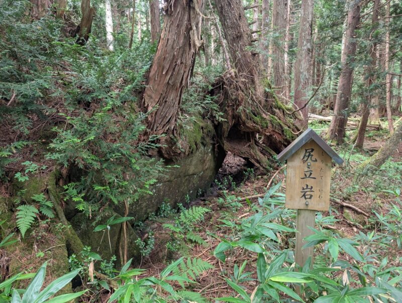 尻立岩