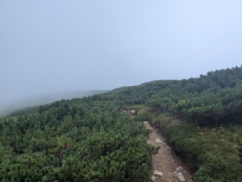 丸山