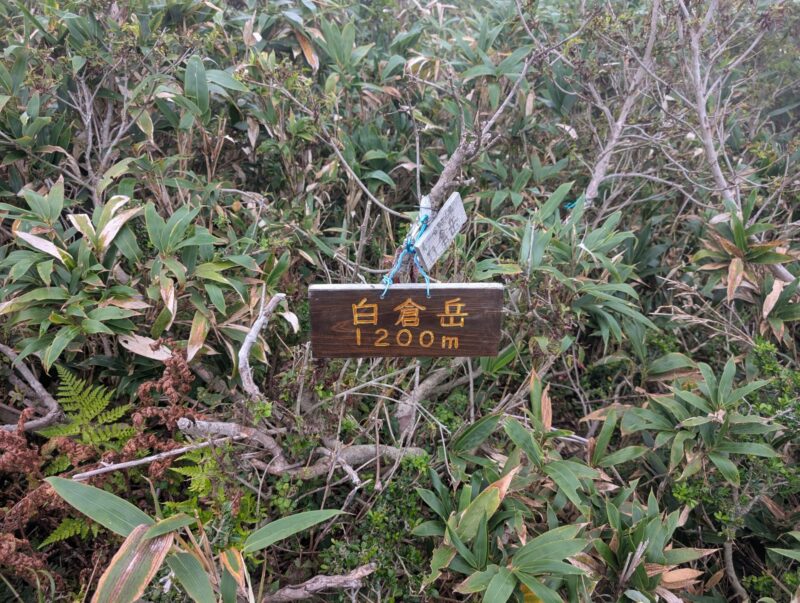 白倉岳