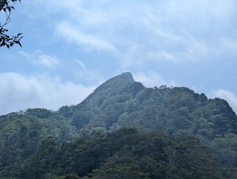冠山