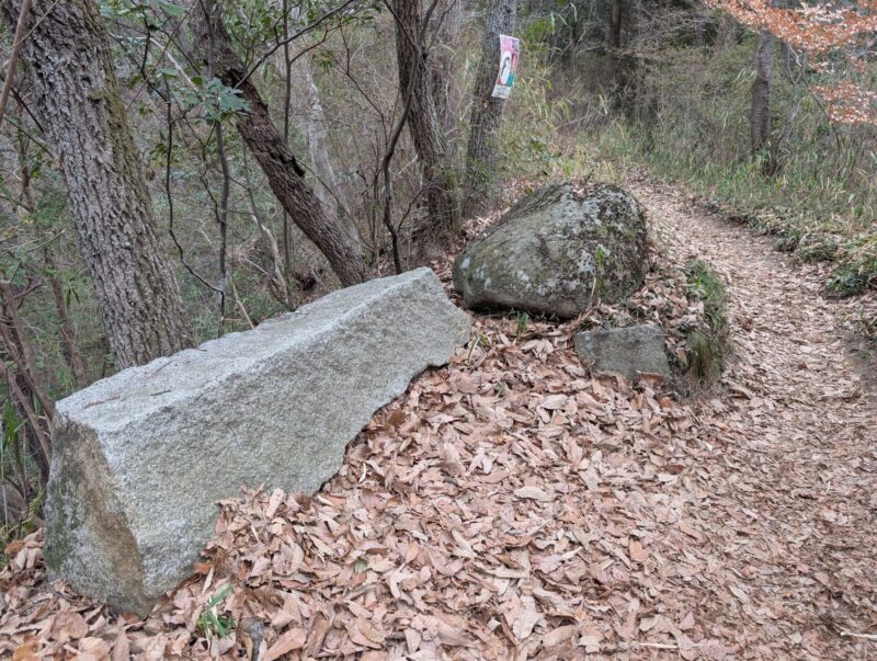 飯盛城跡の残念石