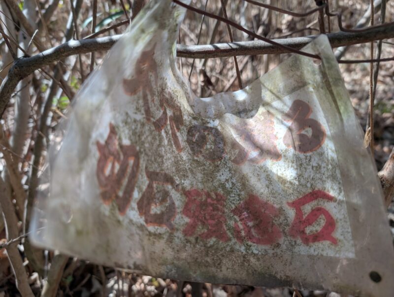 鳶ヶ城跡の残念石