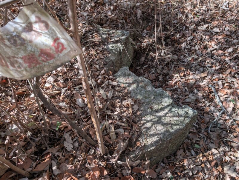 鳶ヶ城跡の残念石
