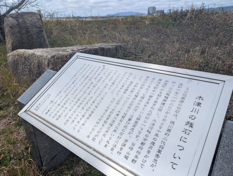 大阪府枚方市河川敷公園の残念石